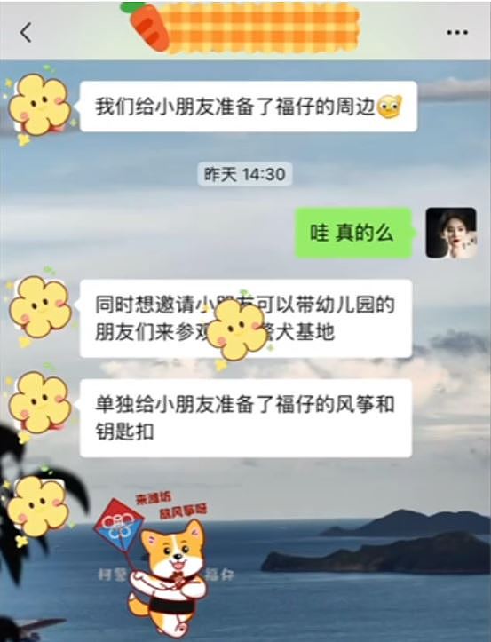 【宠物】警犬“变节”？福仔巡逻途中抢食，训导员：已严肃批评（视频/组图） - 7