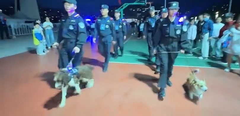 【宠物】警犬“变节”？福仔巡逻途中抢食，训导员：已严肃批评（视频/组图） - 1