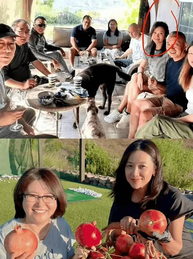 徐静蕾美国现状：住豪宅不婚，发福仍活出自我（组图） - 1