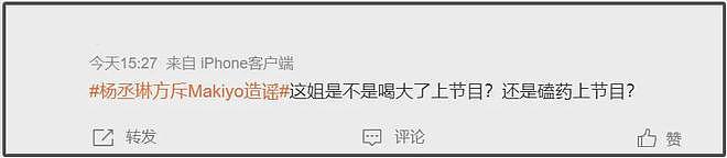 嗑药离婚、中年骤亡，以大小S为首的华冈七仙女，都没把日子过好（组图） - 5