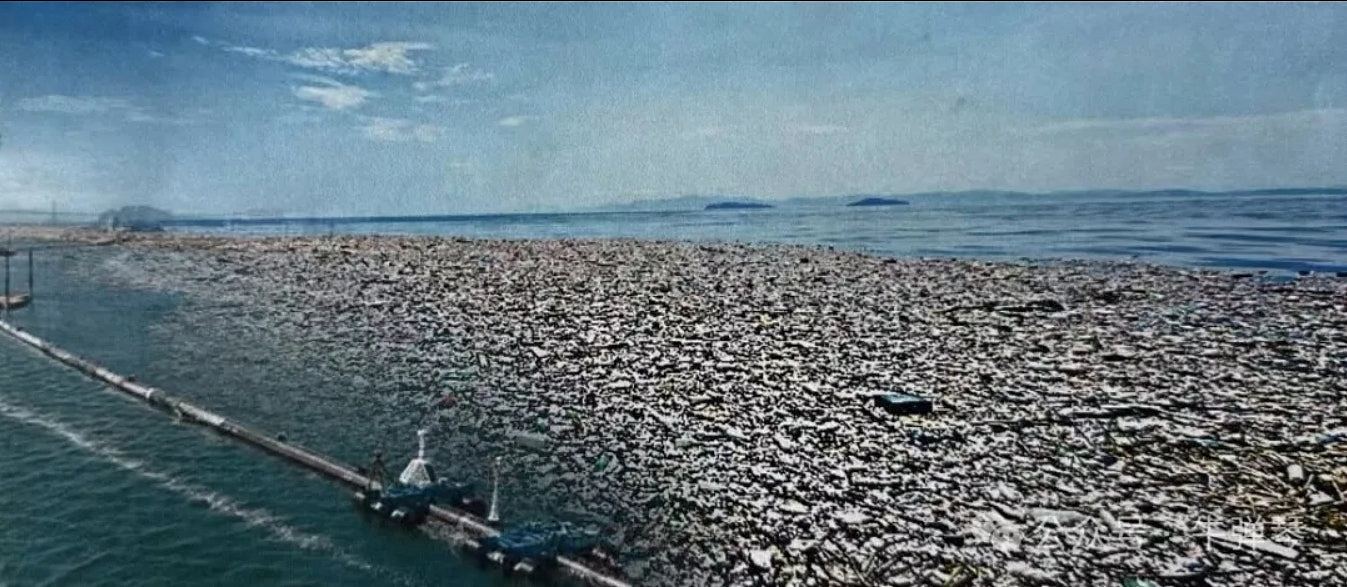 这个大乌龙,美国应该向中国道歉,而且是公开、认真、郑重道歉(组图) - 6