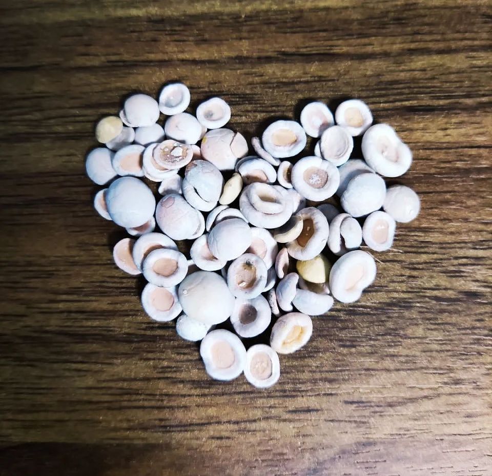 热搜第一！“妈呀，好吓人”！女子吃小龙虾竟剥出多颗珠子，原来是它，涨知识了（组图） - 2