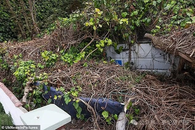英国最乱花园曝光:“丛林”遮天蔽日、六辆废车、一艘船,邻居看傻了!(组图) - 3