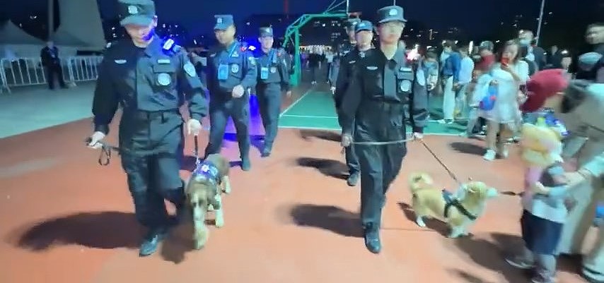 【宠物】警犬“变节”？福仔巡逻途中抢食，训导员：已严肃批评（视频/组图） - 2