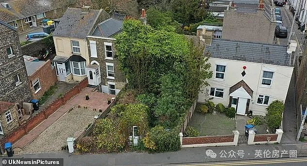 英国最乱花园曝光:“丛林”遮天蔽日、六辆废车、一艘船,邻居看傻了!(组图) - 1