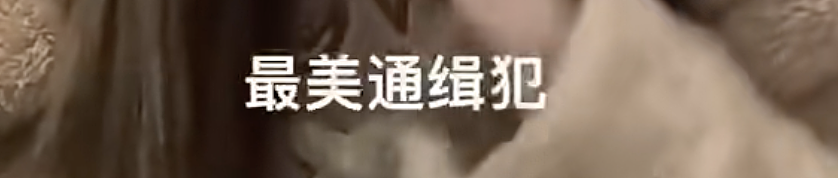 “最美通缉犯“出狱后当主播,以坐牢经历博流量被封!而隔壁绝命糖师:安静养牛ing...(视频/组图) - 23
