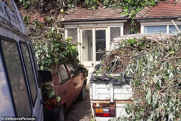 英国最乱花园曝光:“丛林”遮天蔽日、六辆废车、一艘船,邻居看傻了!(组图) - 9