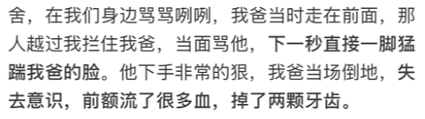 中国父女来悉尼旅游，却遭遇“噩梦开局”…华人热议！（组图） - 4