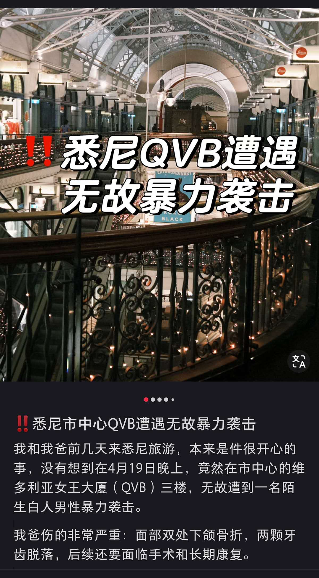 气炸！中国游客悉尼被无故暴打！各部门均“不作为”，网友们怒了…（组图） - 1