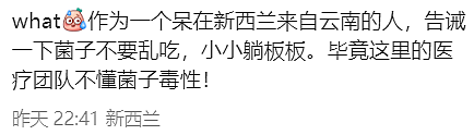 华人在新西兰采到巨型蘑菇，引来大量围观！“已下肚”，网友提醒，“不要乱吃”（组图） - 11