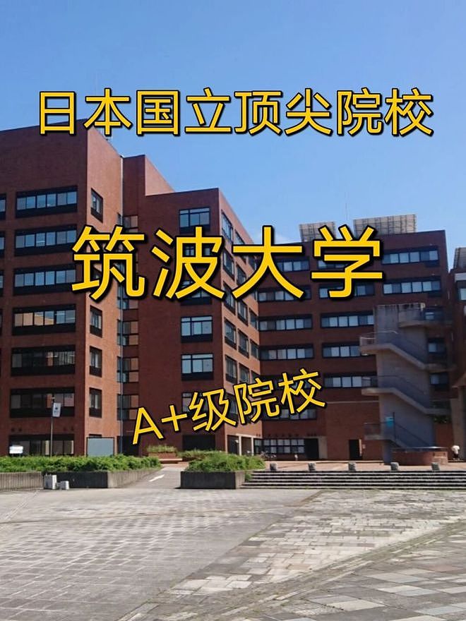 中国留学生偷拍太子24小时曝最真实照片,日媒高呼动摇日本王室根基(组图) - 10
