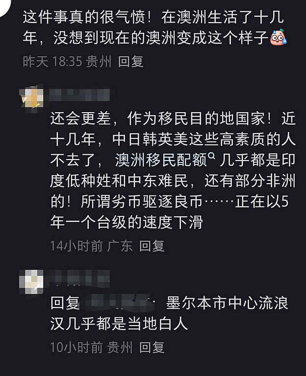 气炸！中国游客悉尼被无故暴打！各部门均“不作为”，网友们怒了…（组图） - 11