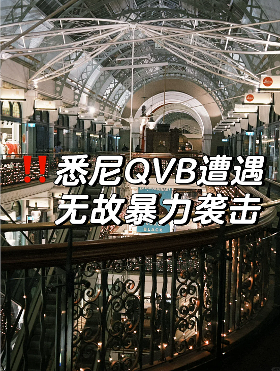 中国父女来悉尼旅游，却遭遇“噩梦开局”…华人热议！（组图） - 2