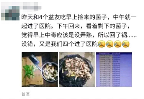 华人在新西兰采到巨型蘑菇，引来大量围观！“已下肚”，网友提醒，“不要乱吃”（组图） - 15