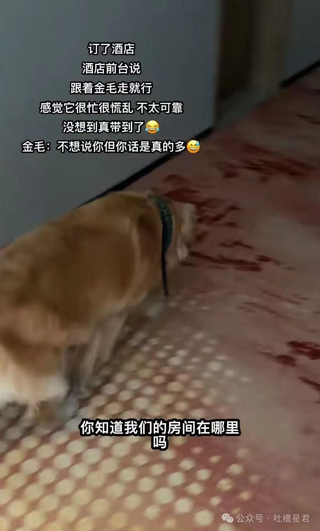 【爆笑】我想要的照片vs男朋友拍出来的照片？哈哈哈笑成折叠屏放转转回收了（组图） - 59