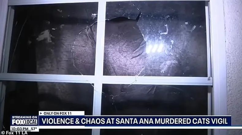 连环杀猫变态终被捕!上百民众去他家抗议砸窗户,最后尴尬发现搞错地址了...(组图) - 6