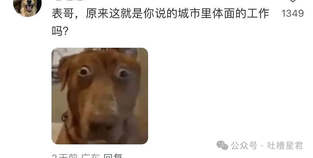 【爆笑】我想要的照片vs男朋友拍出来的照片？哈哈哈笑成折叠屏放转转回收了（组图） - 60
