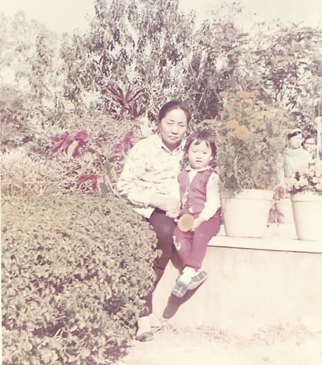 身世惊人，葬礼上掀桌！“香港最不好惹的女人”翁静晶人生传奇（组图） - 28