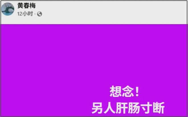 大S经纪人录音曝光,叹这辈子洗不掉大S涉毒标签,吐槽小S胆小鬼(组图) - 17