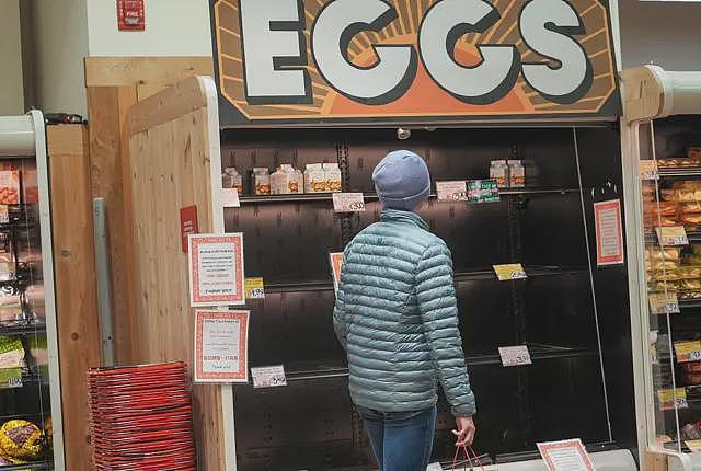 关税只是拼图的一块，四位专家解析特朗普雄心勃勃的经济计划和对手的策略（组图） - 2