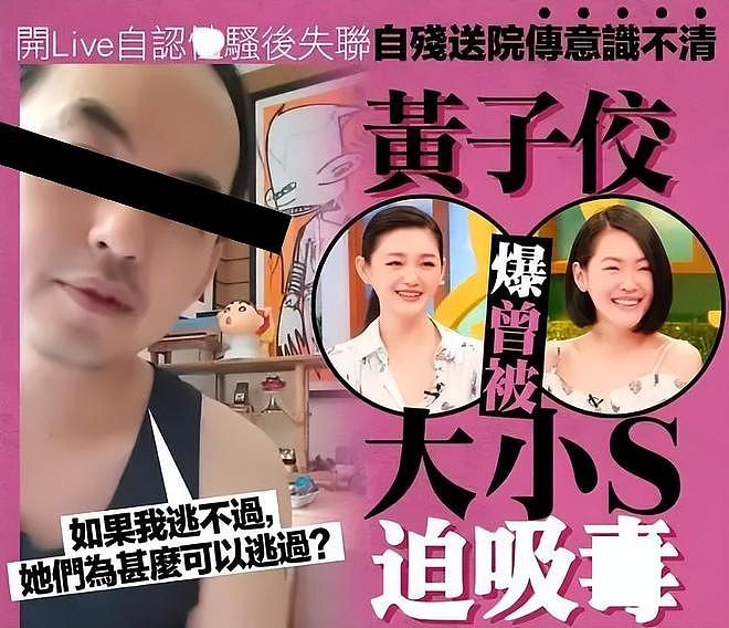 大S经纪人录音曝光,叹这辈子洗不掉大S涉毒标签,吐槽小S胆小鬼(组图) - 3