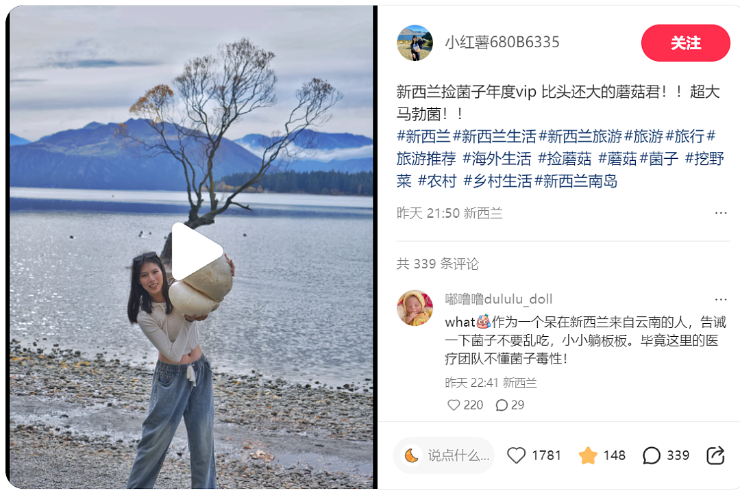 华人在新西兰采到巨型蘑菇，引来大量围观！“已下肚”，网友提醒，“不要乱吃”（组图） - 3