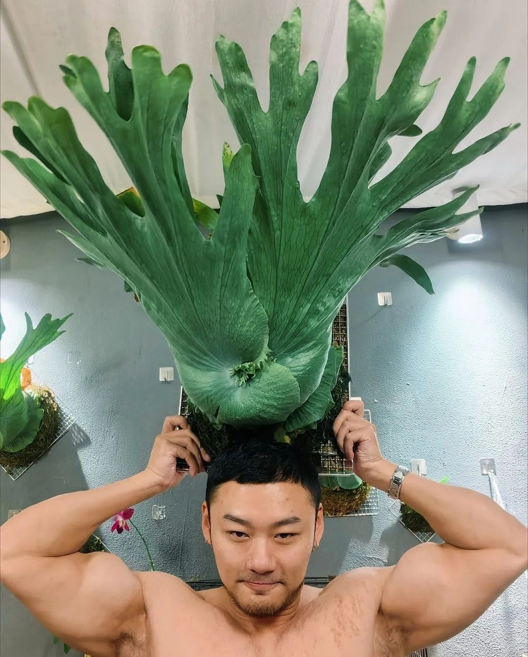 【帅哥】34岁广西私教，爆发力胸大肌手臂肌，这胳膊肌肉围度比脸还大（组图） - 11