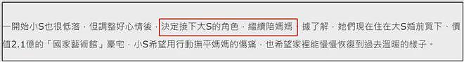 大S经纪人录音曝光,叹这辈子洗不掉大S涉毒标签,吐槽小S胆小鬼(组图) - 18