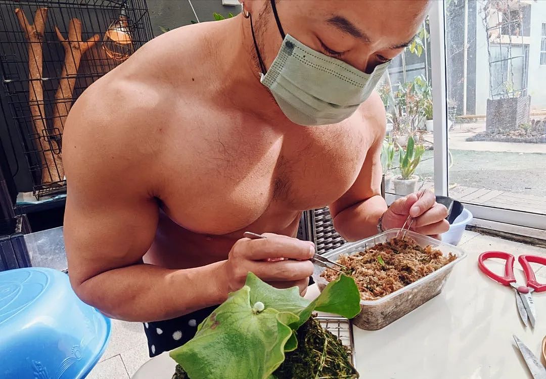【帅哥】34岁广西私教，爆发力胸大肌手臂肌，这胳膊肌肉围度比脸还大（组图） - 12