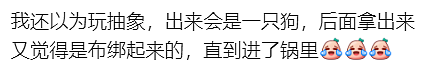 华人在新西兰采到巨型蘑菇，引来大量围观！“已下肚”，网友提醒，“不要乱吃”（组图） - 8