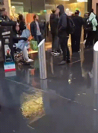 太疯狂了！全澳多地凌晨大排长龙，暴雨也要去！为了孩子拼了…（组图） - 15