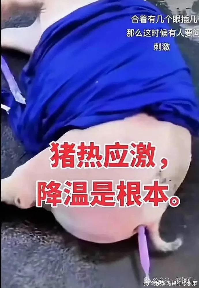 【爆笑】在拼xx买的纯欲风裸色美甲片，拆开后..？网友破防：这是恐龙用的尺寸吧？（组图） - 33