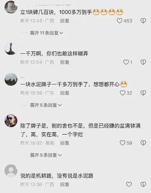 投资超1000万，却只修了两条土路？广西一高标准农田遭质疑（视频/组图） - 3