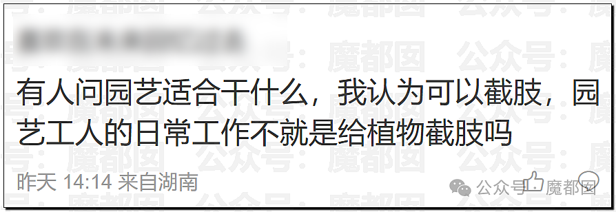 董小姐被曝抢残疾学生论文！张雪峰早期爆料医博内幕视频流出（组图） - 46