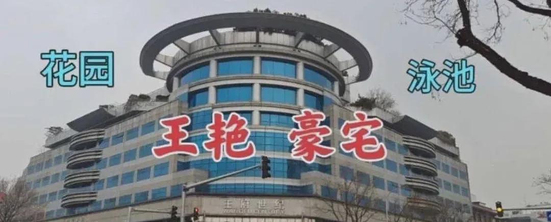 继子扇她巴掌？嫁入豪门被刁难，美艳百亿阔太也缺钱了？（组图） - 4