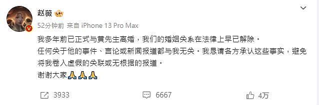 曝赵薇前夫黄有龙曾遭国际刑警通缉，2021年在法国被捕！中国申请引渡遭拒（组图） - 8