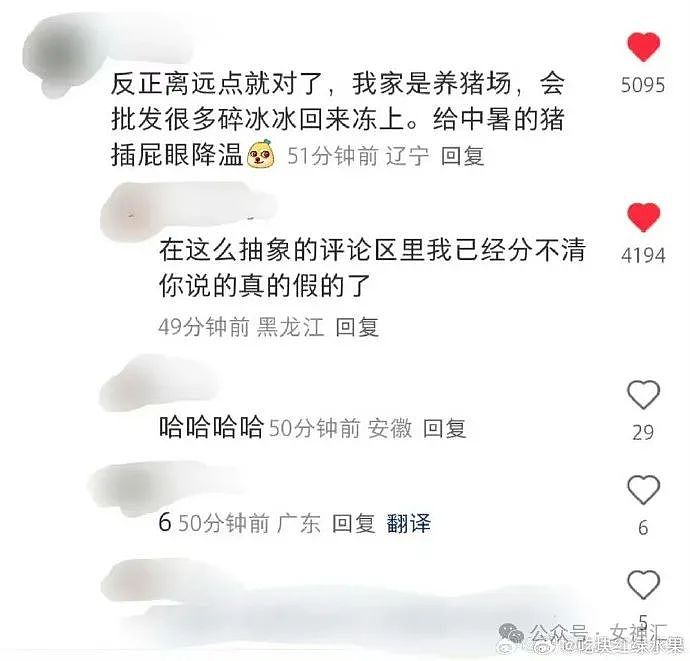 【爆笑】在拼xx买的纯欲风裸色美甲片，拆开后..？网友破防：这是恐龙用的尺寸吧？（组图） - 32