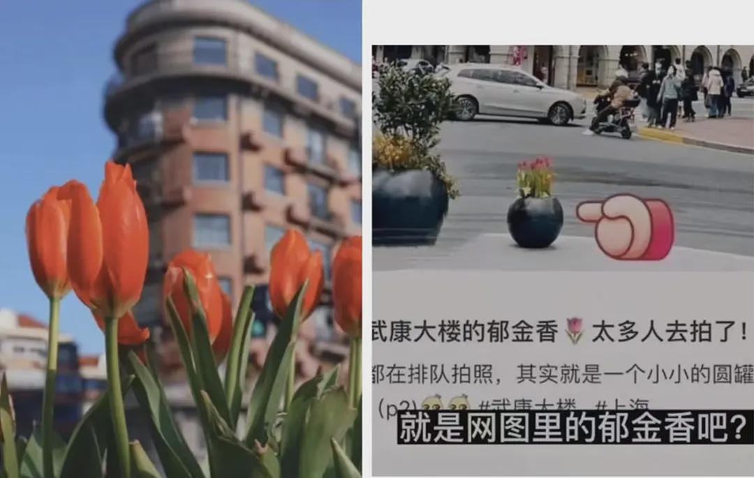 五一假期正式开启，网红的五一朋友圈，用命换的（组图） - 8