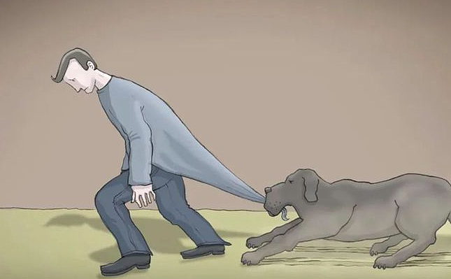 “妈妈，我是澳洲人还是中国人？”一大波海外华人正在反润回国...（组图） - 3