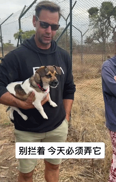 【宠物】小姐姐为了给小猫断奶，把它关笼子里不让猫妈妈喂，结果出现这一幕...网友：强者从不抱怨环境（组图） - 13