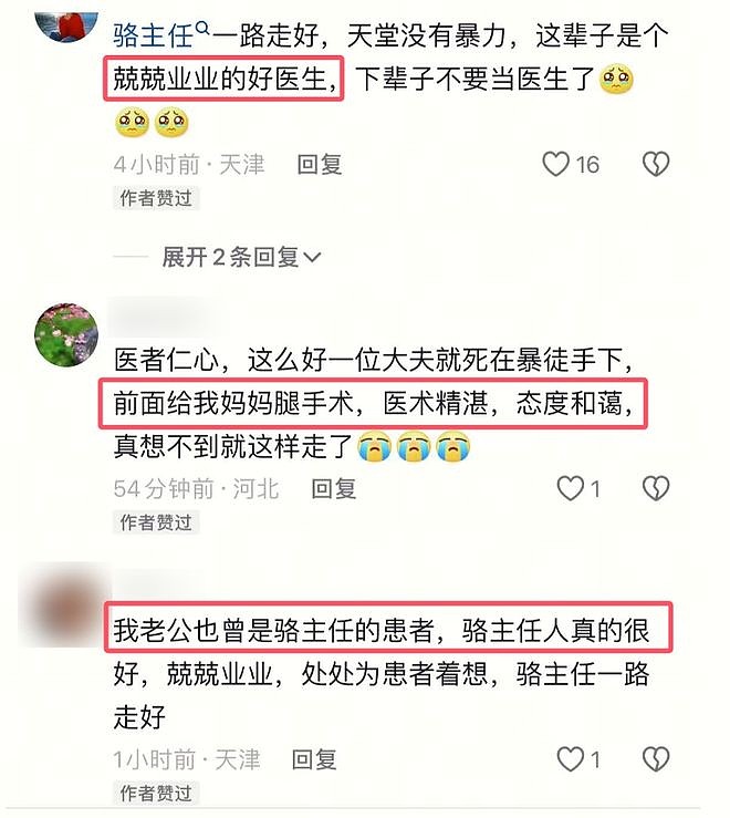天津医院多名医护被患者砍杀!著名骨科医生骆巍不治身亡,抓捕现场视频曝光(视频/组图) - 10