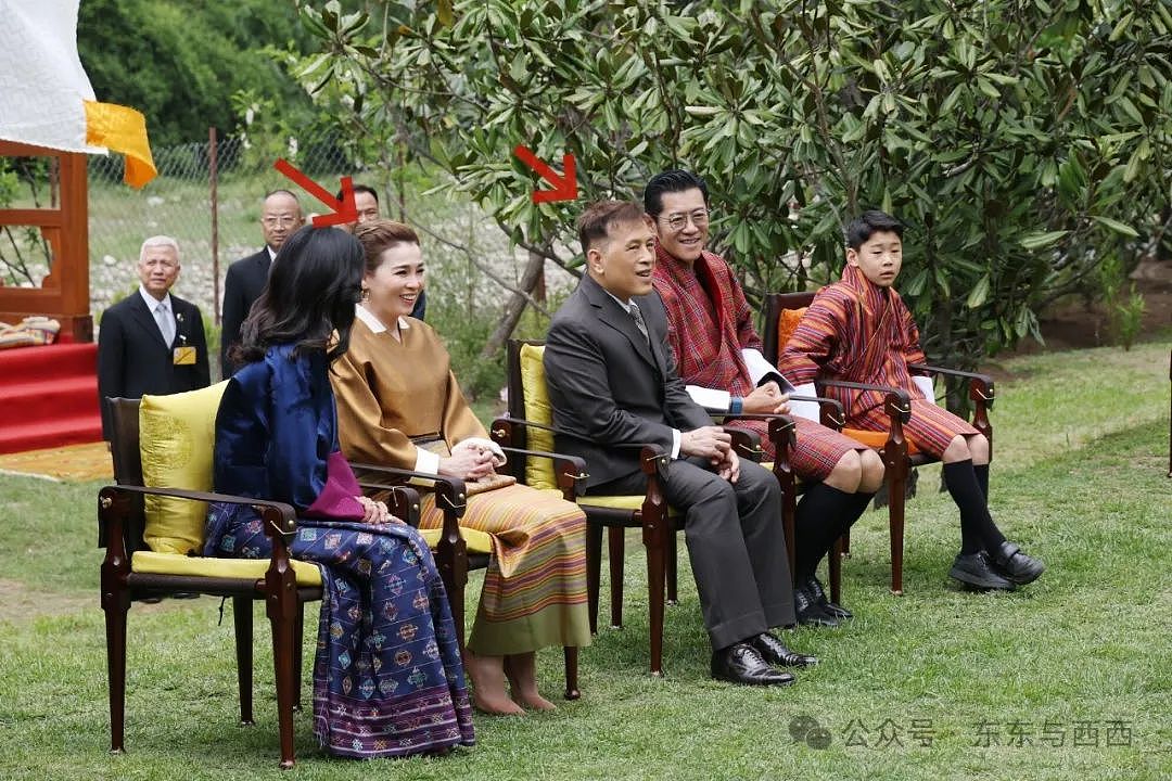 泰王亲自开飞机出访，与王后染情侣发色年轻十岁，73岁没立储就是不服老…（组图） - 29