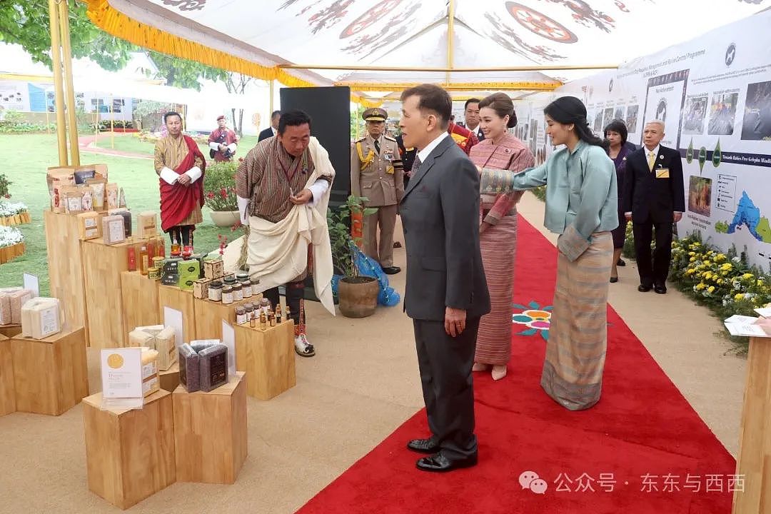 泰王亲自开飞机出访，与王后染情侣发色年轻十岁，73岁没立储就是不服老…（组图） - 27