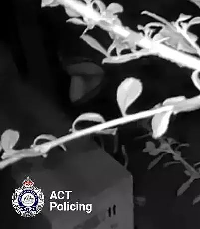 三煞夜袭民宅！ACT警方悬赏缉拿午夜蒙面人！（组图） - 2