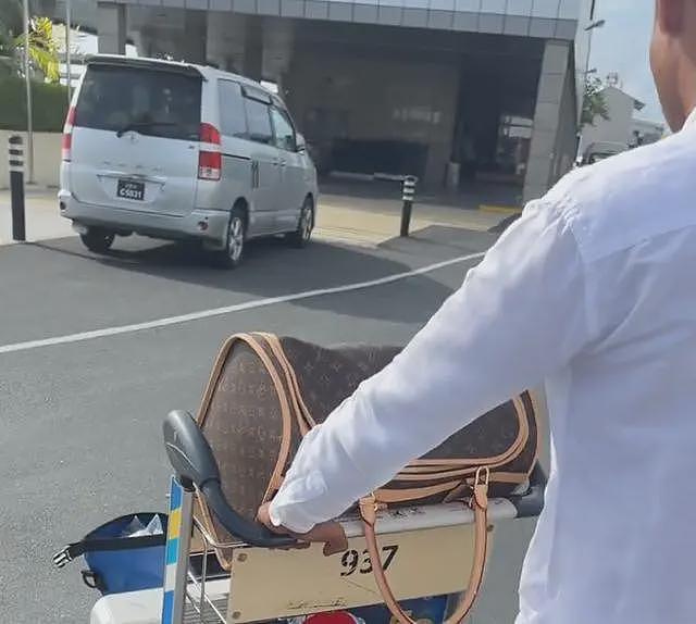 中国女子在马尔代夫被性侵后续!酒店道歉录音曝光,想用10万封口(组图) - 8