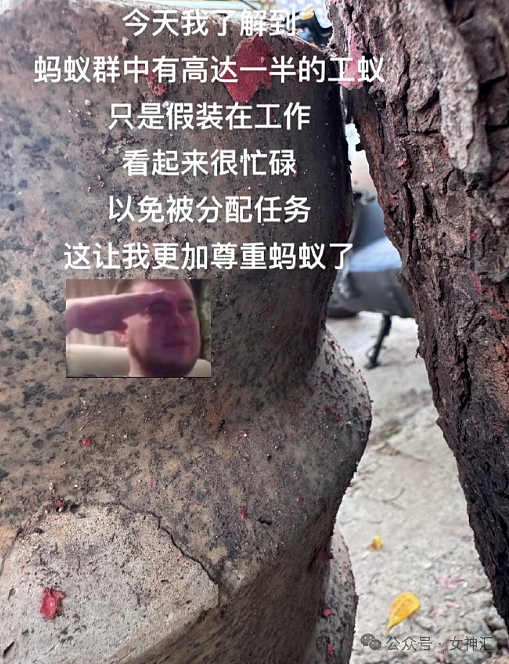 【爆笑】男大学生天天给60岁富婆留言, 4个月后成功追到手?网友迷惑:这太炸裂(视频/组图) - 29