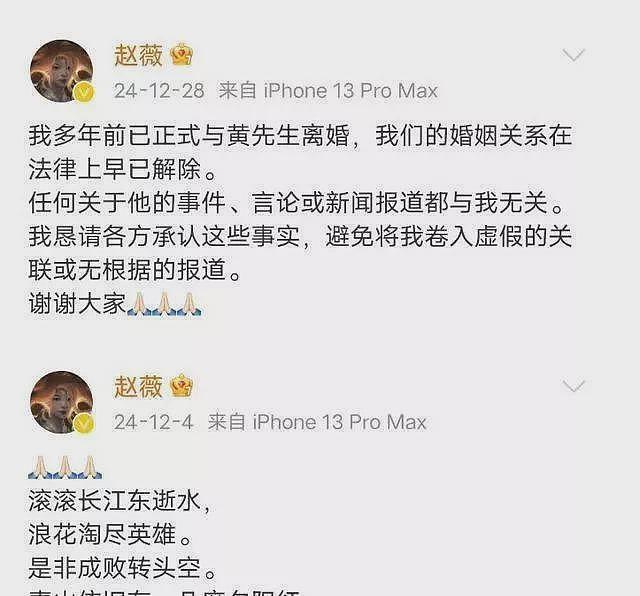 赵薇低调出席首映礼，跟陈坤黄渤坐一起不敢吭声（组图） - 8