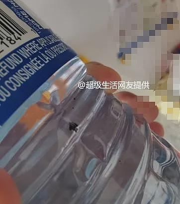 华人妈妈Costco瓶装水喝出黑色异物!娃一天拉稀9次,有人喝到发霉水(组图) - 6