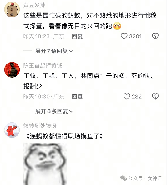 【爆笑】男大学生天天给60岁富婆留言, 4个月后成功追到手?网友迷惑:这太炸裂(视频/组图) - 33