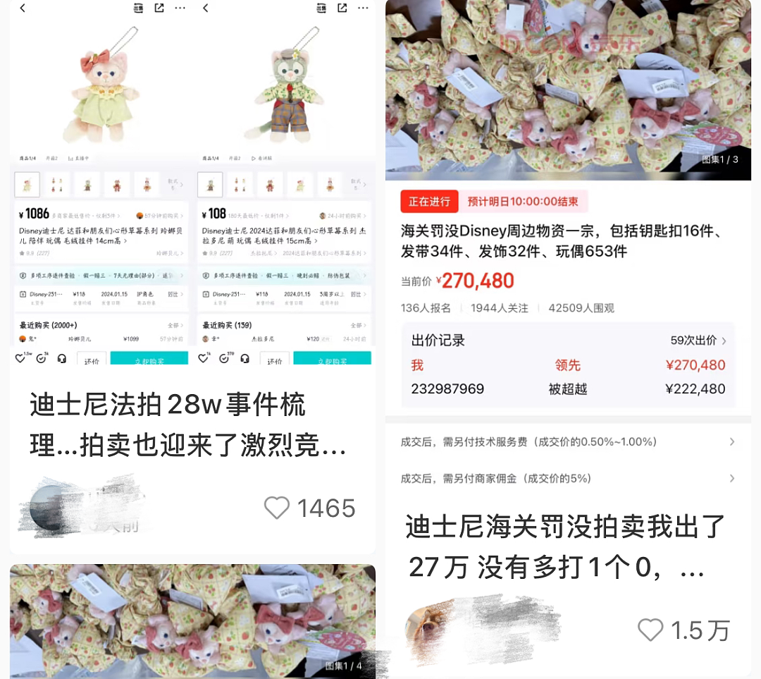“3万拿下271个走私的玲娜贝儿、白菜价打包始祖鸟?”多少中产把“海关拍卖”蹲成捡漏圣地(组图) - 1